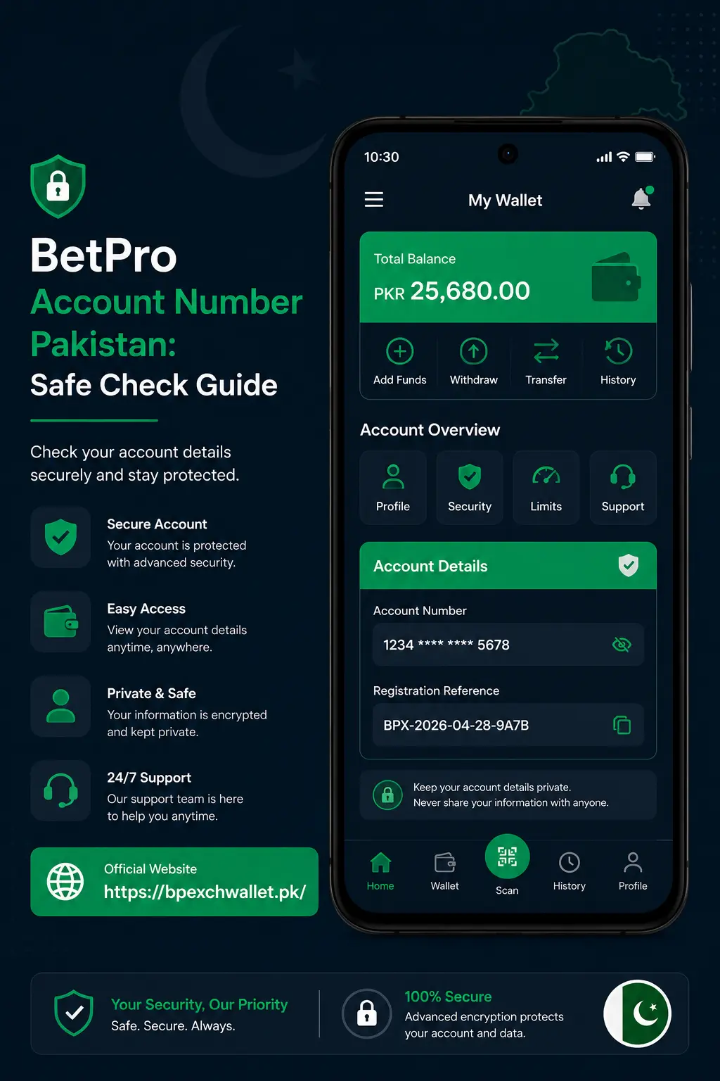 BetPro account number Pakistan dashboard view showing account reference details